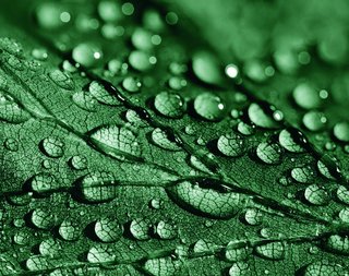 Colornetwork - Sustainability Colornetwork - Sustainability